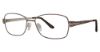 Picture of Sophia Loren Eyeglasses M308