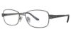 Picture of Sophia Loren Eyeglasses M308