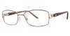 Picture of Sophia Loren Eyeglasses M296