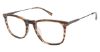 Picture of Sperry Eyeglasses GRANVILLE