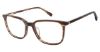 Picture of Sperry Eyeglasses FLYNN