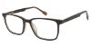 Picture of Sperry Eyeglasses REID