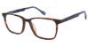 Picture of Sperry Eyeglasses REID