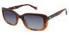 Picture of Sperry Sunglasses ROSEFISH
