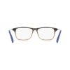 Picture of Spyder Eyeglasses SP4046