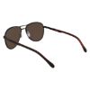 Picture of Spyder Sunglasses SP6036