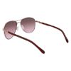 Picture of Spyder Sunglasses SP6036