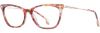 Picture of State Optical Eyeglasses Hayden