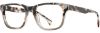 Picture of State Optical Eyeglasses Delilah