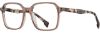 Picture of State Optical Eyeglasses Germania