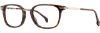 Picture of State Optical Eyeglasses Kenmore