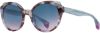 Picture of State Optical Sunglasses Pratt