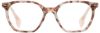 Picture of State Optical Eyeglasses Western