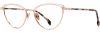 Picture of State Optical Eyeglasses Ohio