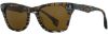Picture of State Optical Sunglasses Dewitt