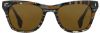 Picture of State Optical Sunglasses Dewitt