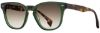 Picture of State Optical Sunglasses Ridge