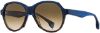 Picture of State Optical Sunglasses Reunion