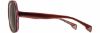 Picture of State Optical Sunglasses May