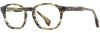 Picture of State Optical Eyeglasses Kildare