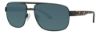 Picture of Stetson Sunglasses 8209P