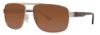 Picture of Stetson Sunglasses 8209P