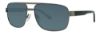 Picture of Stetson Sunglasses 8209P