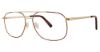 Picture of Stetson Eyeglasses Xl 36