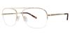 Picture of Stetson Eyeglasses Xl 31