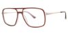 Picture of Stetson Eyeglasses 370