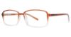 Picture of Stetson Eyeglasses 328