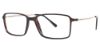 Picture of Stetson Eyeglasses 325