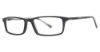 Picture of Stetson Eyeglasses 309