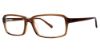 Picture of Stetson Eyeglasses 303