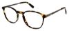 Picture of Steve Madden Eyeglasses TANNER