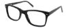Picture of Steve Madden Eyeglasses COLLE