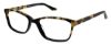 Picture of Steve Madden Eyeglasses CARMMEN