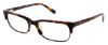 Picture of Steve Madden Eyeglasses RANDO