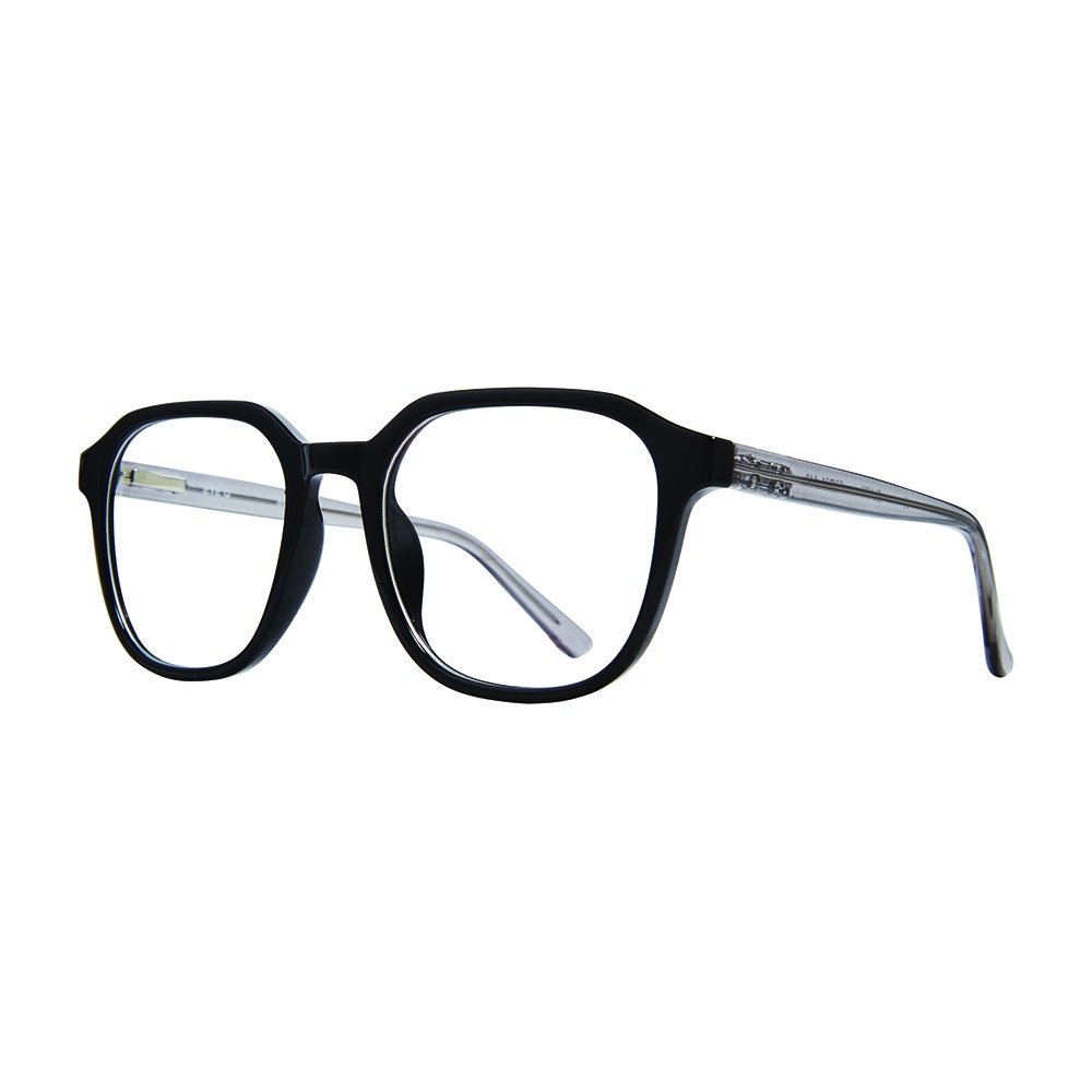 Picture of Stylewise Eyeglasses SW346