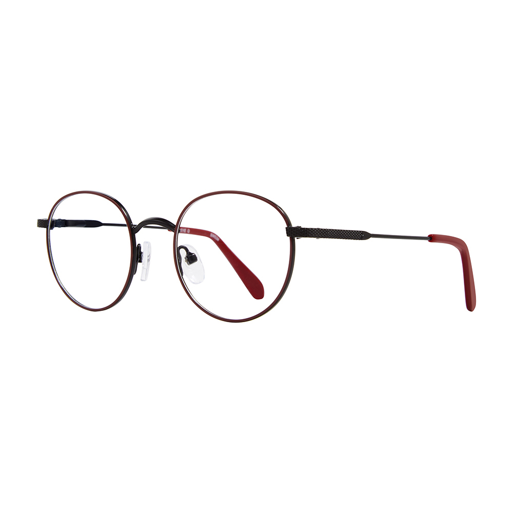 Picture of Stylewise Eyeglasses SW534