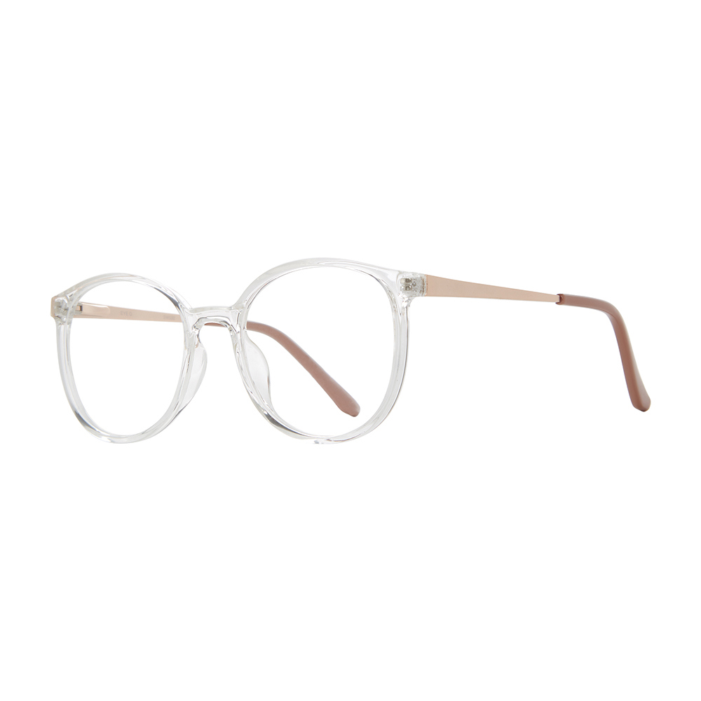 Picture of Stylewise Eyeglasses SW532