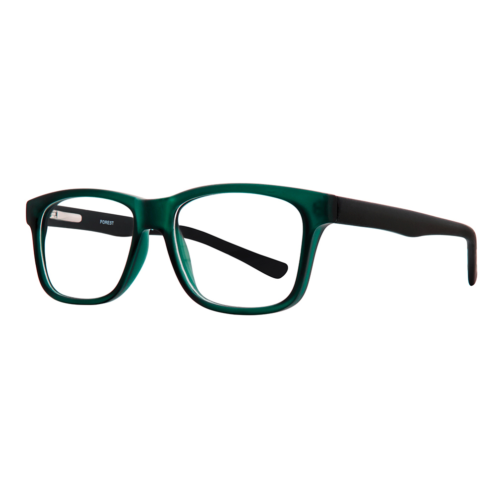 Picture of Stylewise Eyeglasses SW523