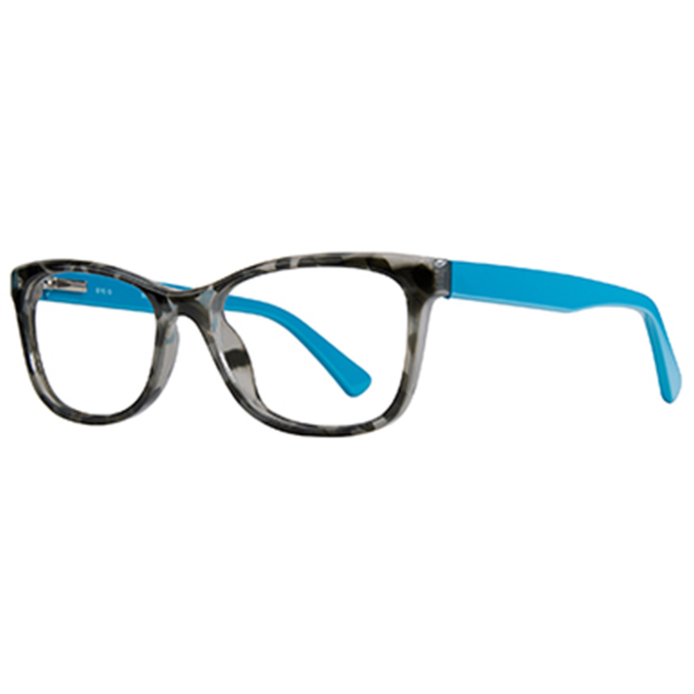 Picture of Stylewise Eyeglasses SW451