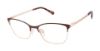 Picture of Superdry Eyeglasses SDOW509T