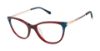 Picture of Superdry Eyeglasses SDOW019T