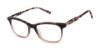 Picture of Superdry Eyeglasses SDOW022T