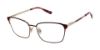 Picture of Superdry Eyeglasses SDOW508T