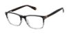 Picture of Superdry Eyeglasses SDOM016T