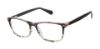 Picture of Superdry Eyeglasses SDOM016T