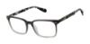 Picture of Superdry Eyeglasses SDOM012T